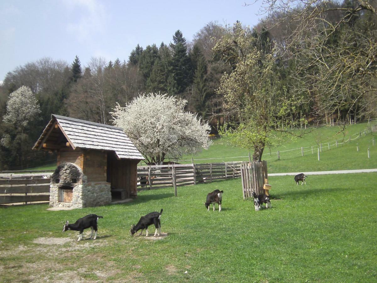 Villa Bauernhof Kaspergut Kirchberg bei Mattighofen Esterno foto